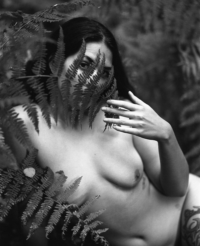 © Selina Mayer - Image from the The Forest photography project