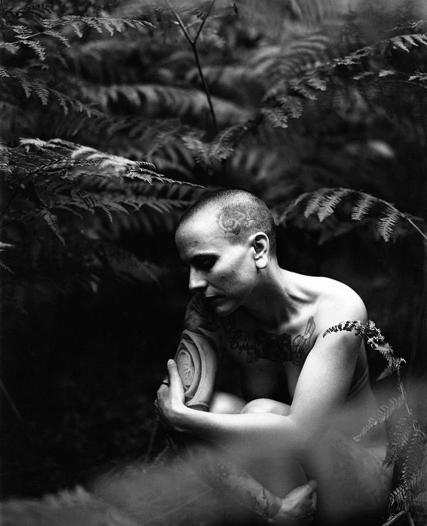 © Selina Mayer - Image from the The Forest photography project