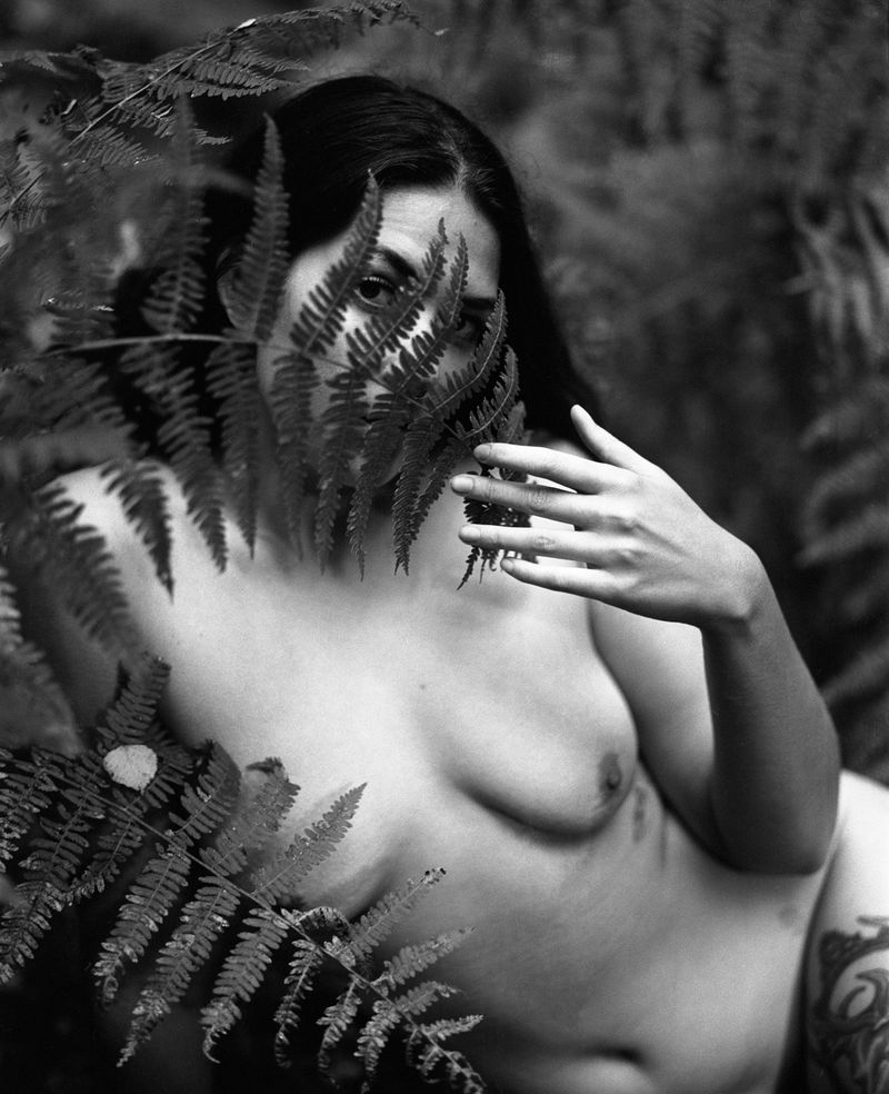 © Selina Mayer - Image from the The Forest photography project