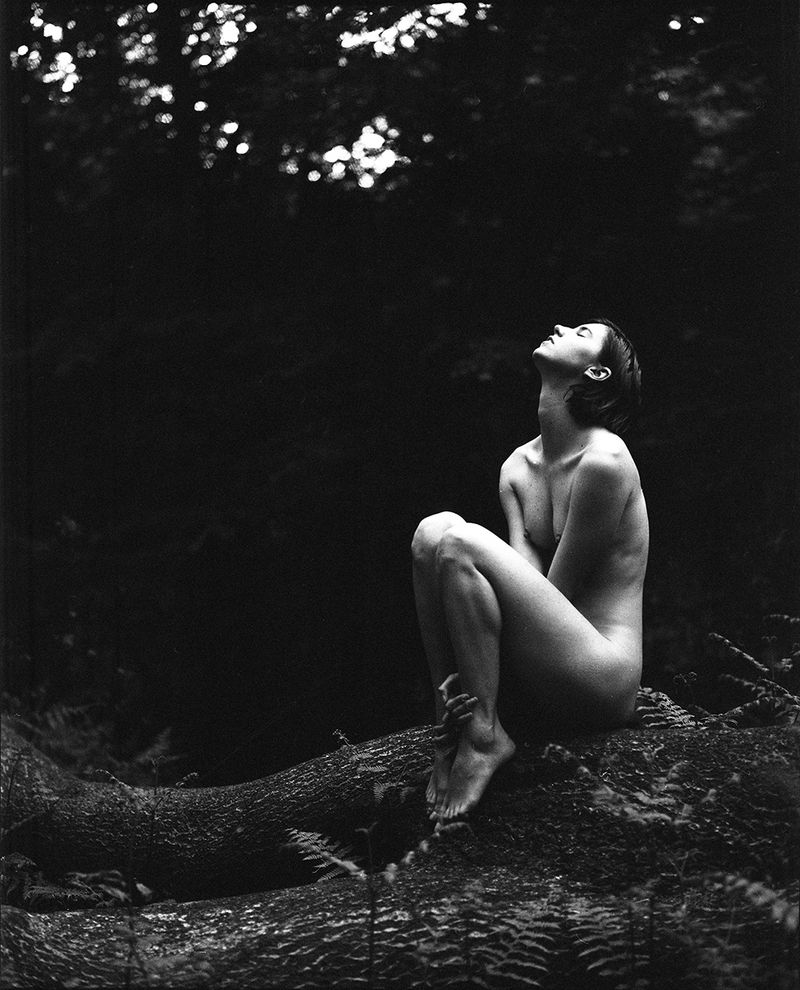 © Selina Mayer - Kyotocat, Epping Forest 2018. Silver gelatin print.
