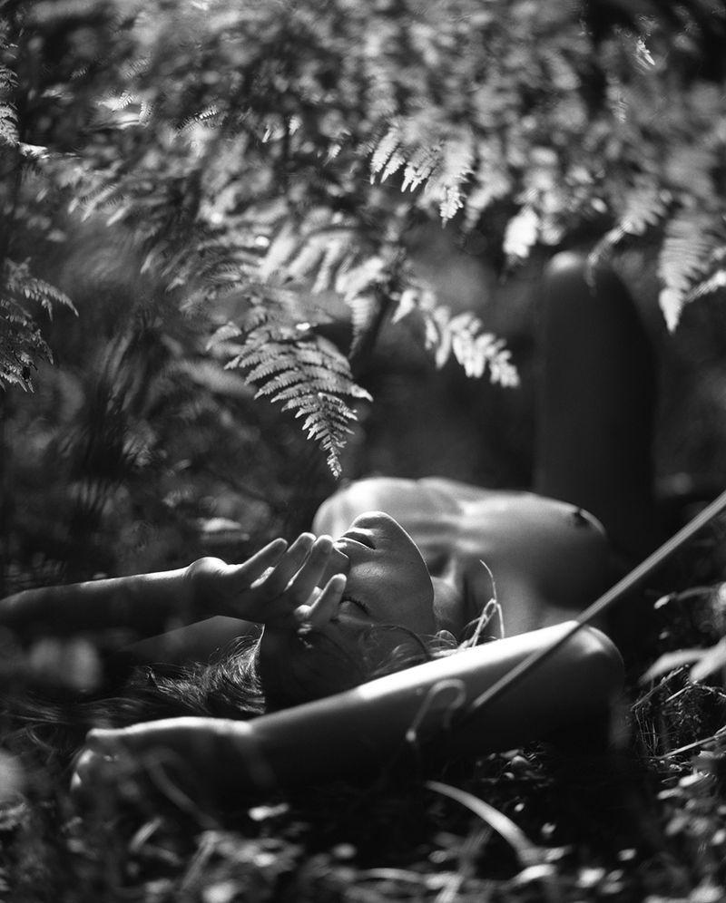 © Selina Mayer - Image from the The Forest photography project