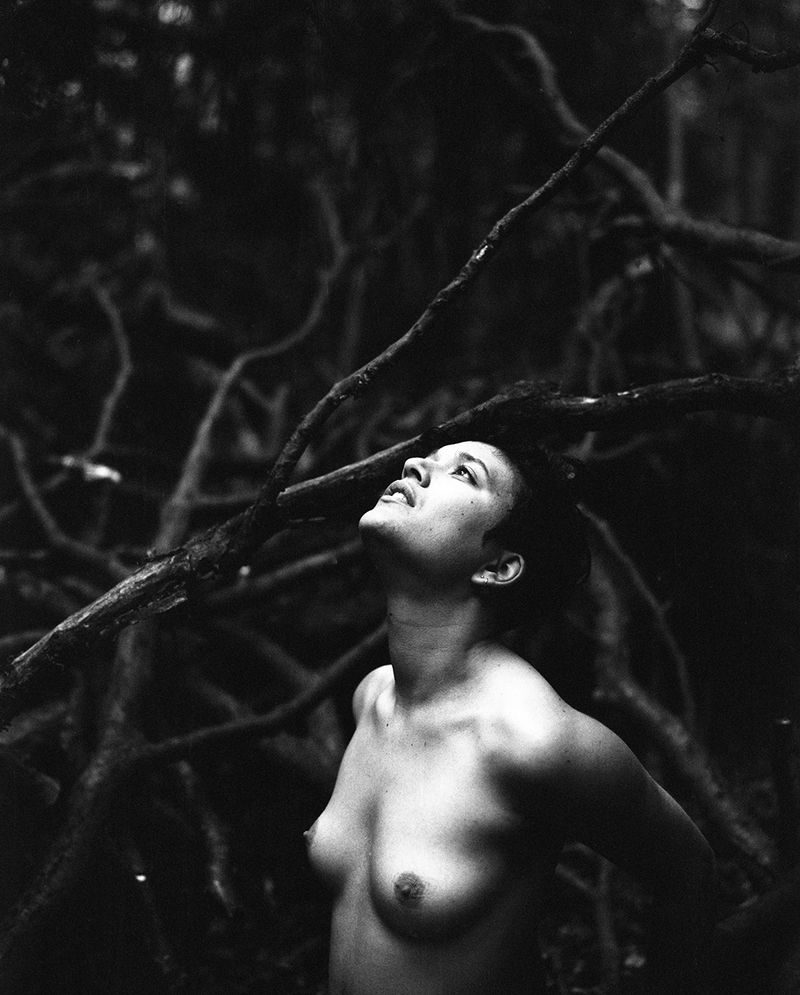 © Selina Mayer - Image from the The Forest photography project