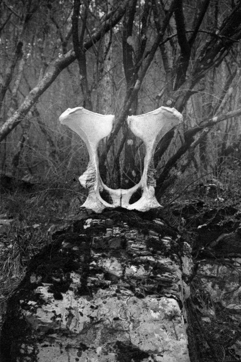 © Giulia Madiai - Altar to worship?