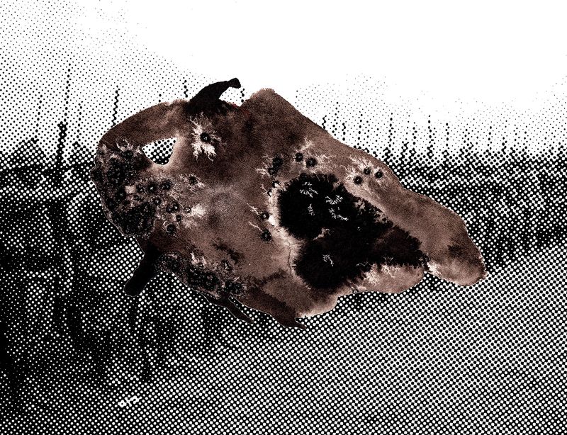 © Cecilia Hurtado - Image from the Archive of Oblivion 3° Block photography project