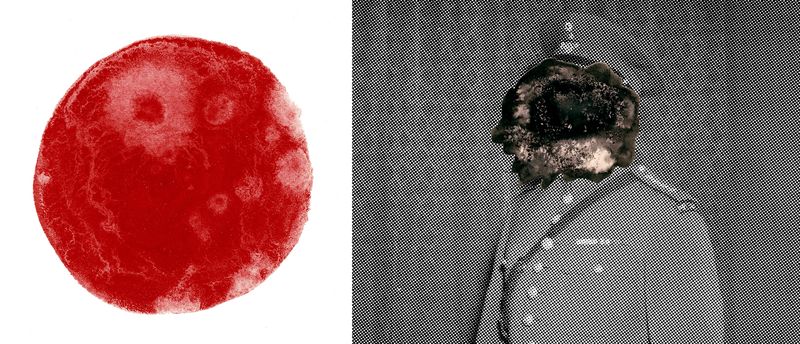 © Cecilia Hurtado - Image from the Archive of Oblivion 3° Block photography project