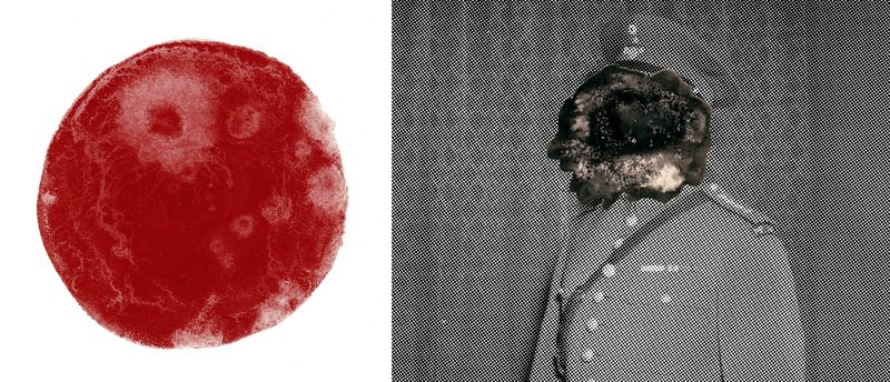 © Cecilia Hurtado - Image from the Archive of Oblivion 3° Block photography project