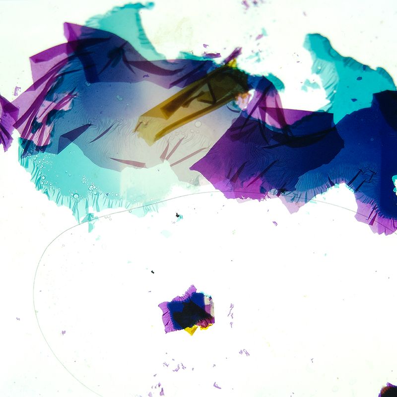 © Cecilia Hurtado - 2018