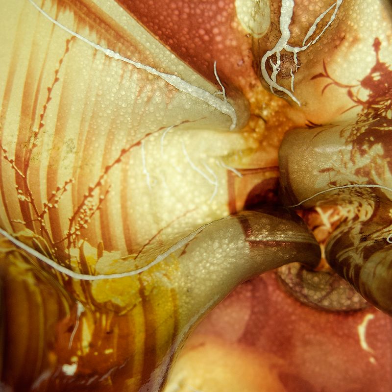 © Cecilia Hurtado - 2018