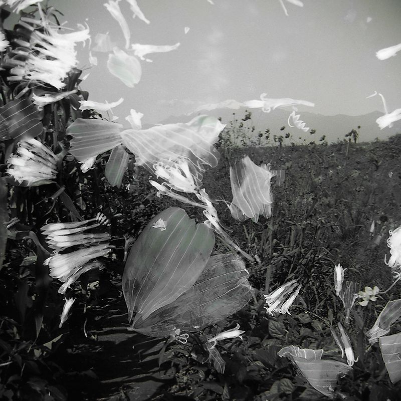 © Cecilia Hurtado - 2018