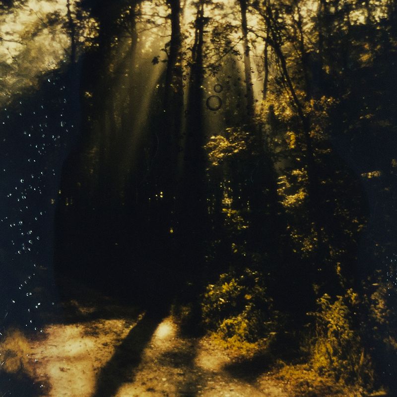 © Cecilia Hurtado - 2018