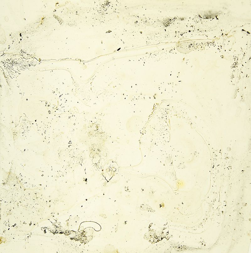 © Cecilia Hurtado - 2018