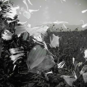 The Archive of Oblivion 1° Passage