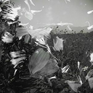 The Archive of Oblivion 1° Passage