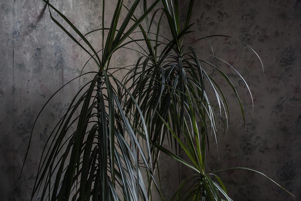 © Chiara Kurtovic - Image from the Inner Siege photography project