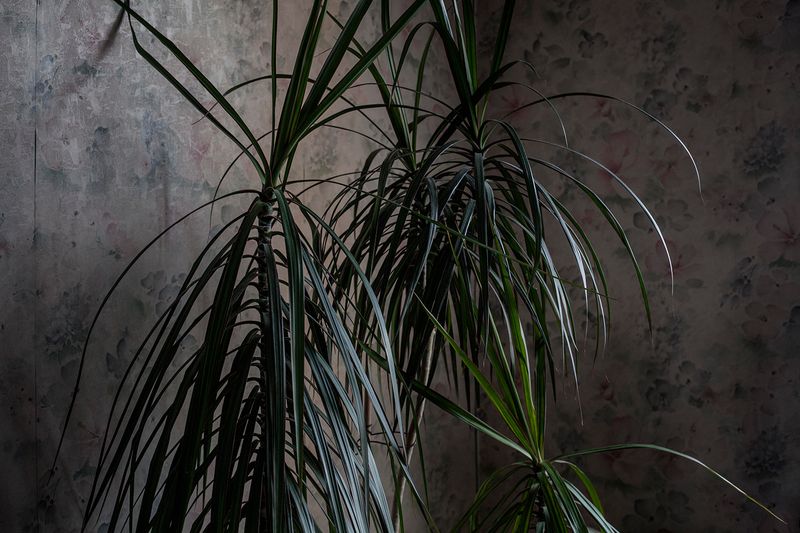 © Chiara Kurtovic - Image from the Inner Siege photography project