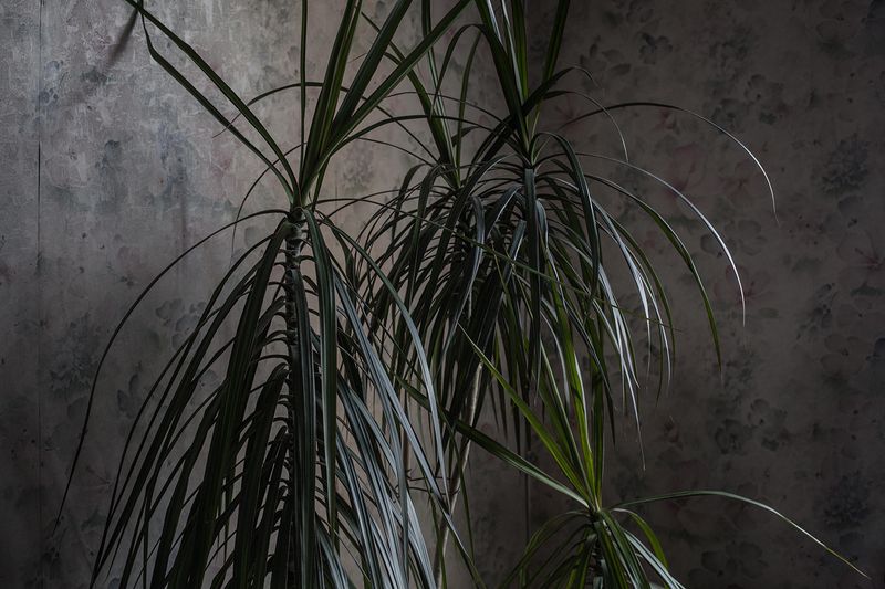 © Chiara Kurtovic - Image from the Inner Siege photography project
