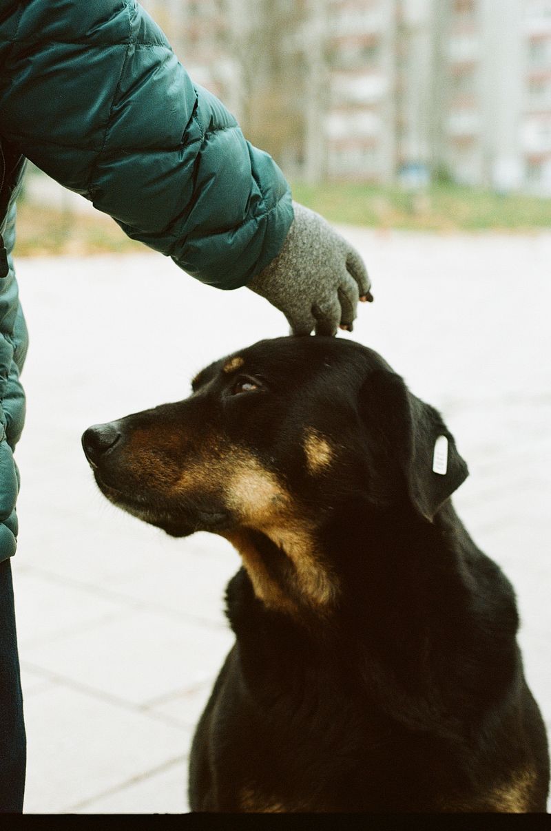 © Chiara Kurtovic - Image from the Inner Siege photography project