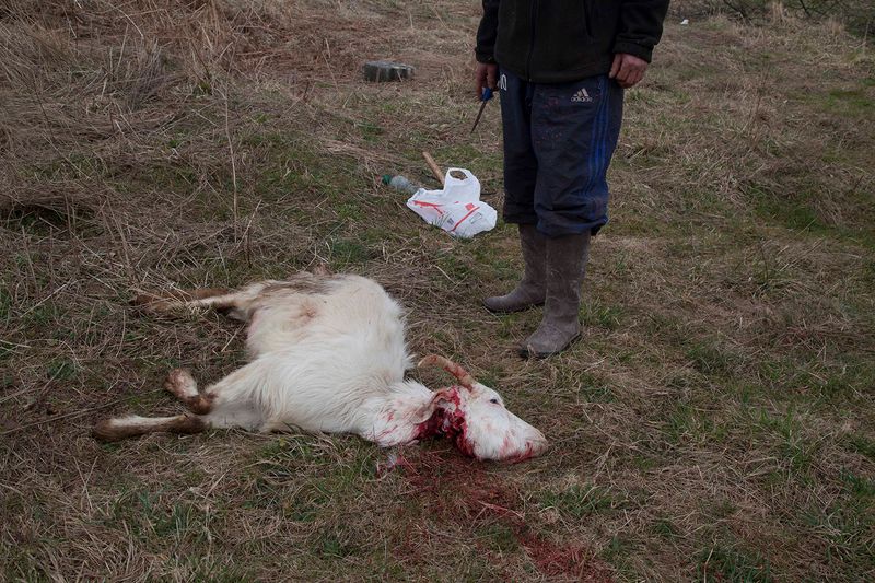 © Chiara Kurtovic - Image from the Inner Siege photography project