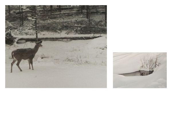 © Nina Viviana Cangialosi - Image from the The Snow Abides photography project