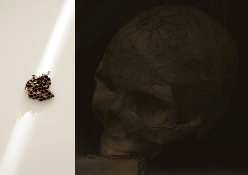 © Nina Viviana Cangialosi - 1. Fragment of a beehive - 2. Alchemical skull
