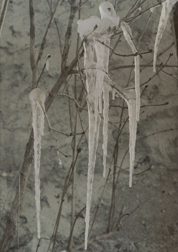 © Nina Viviana Cangialosi - Icy tears