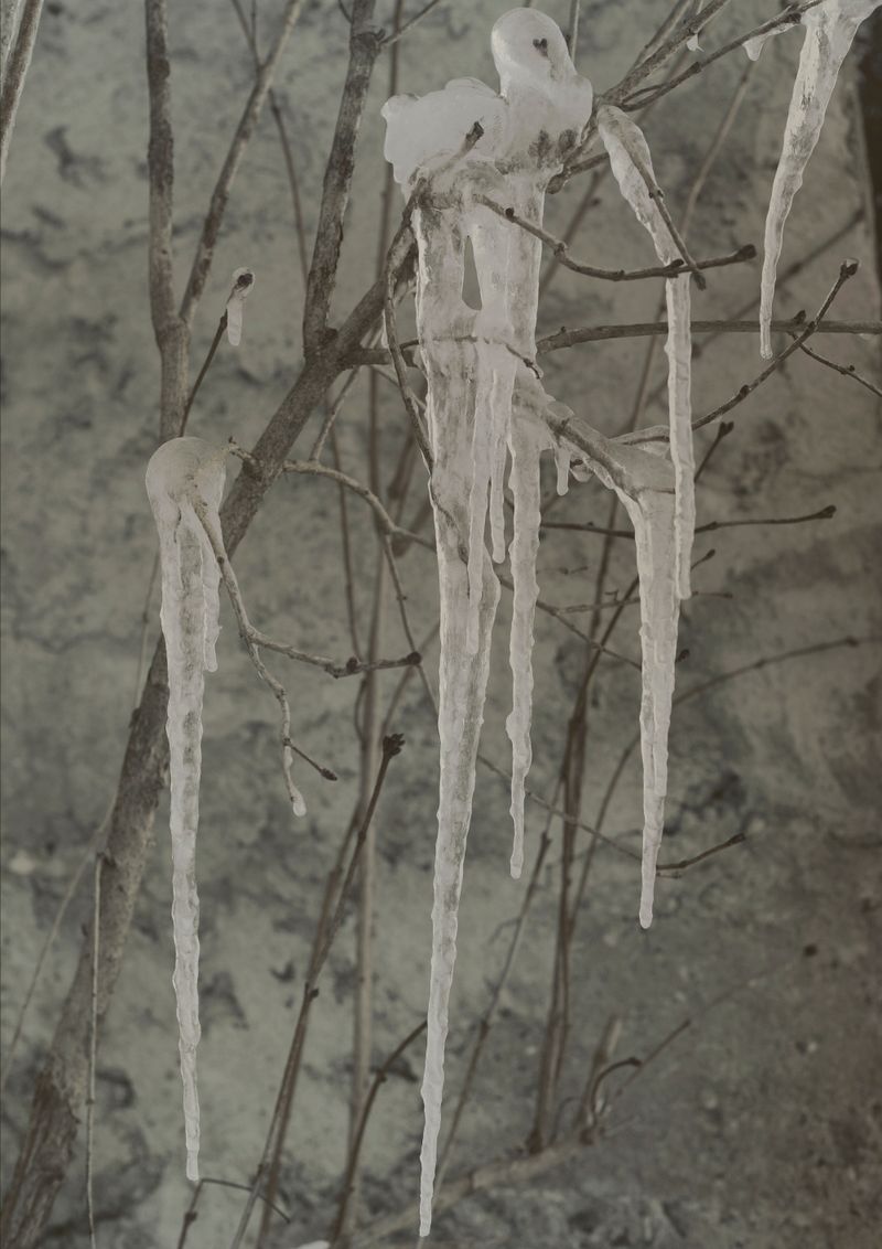 © Nina Viviana Cangialosi - Icy tears