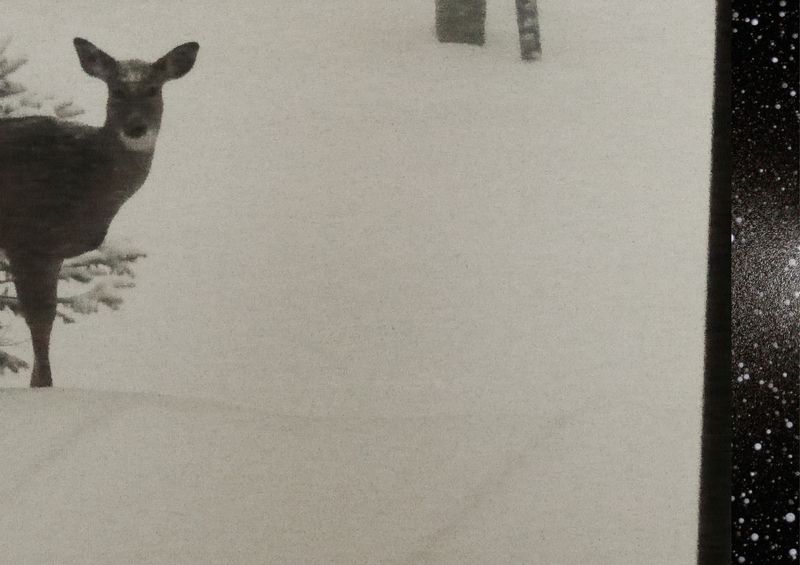 © Nina Viviana Cangialosi - Image from the The Snow Abides photography project