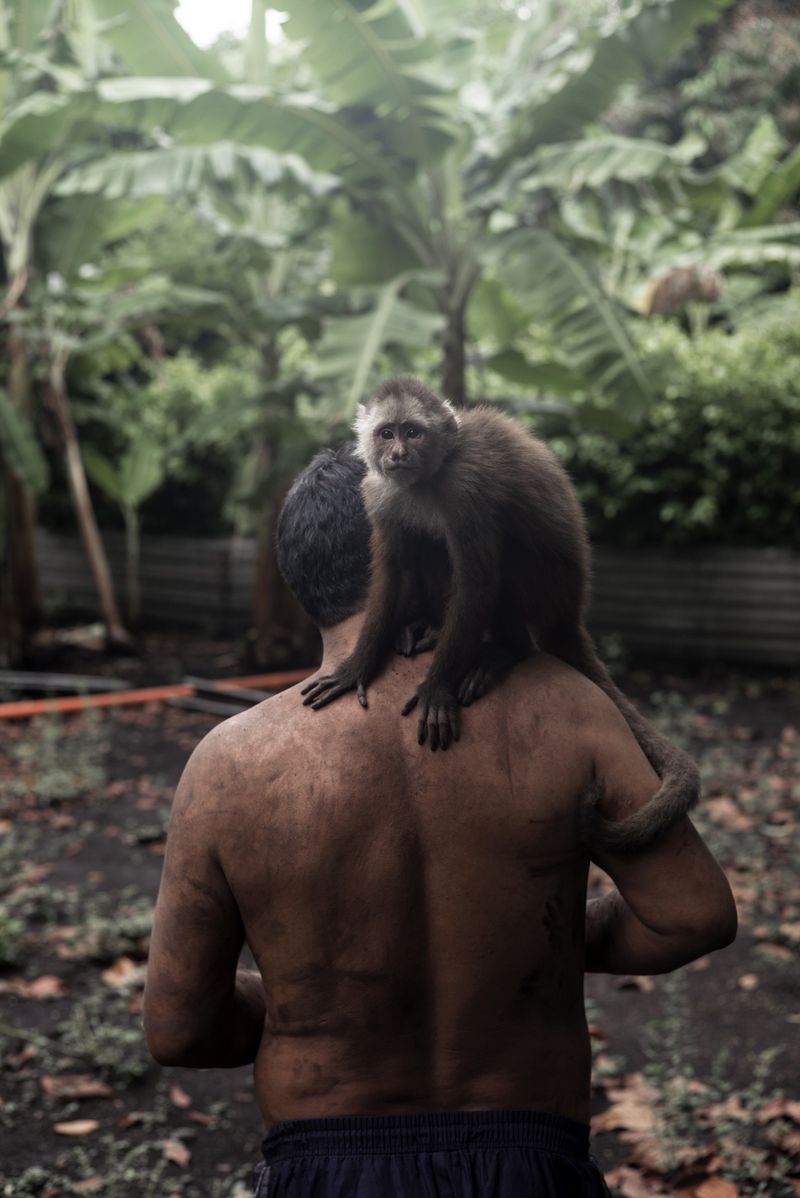 © Luis Cobelo - Lalo, the monkey that guesses the dreams of humans