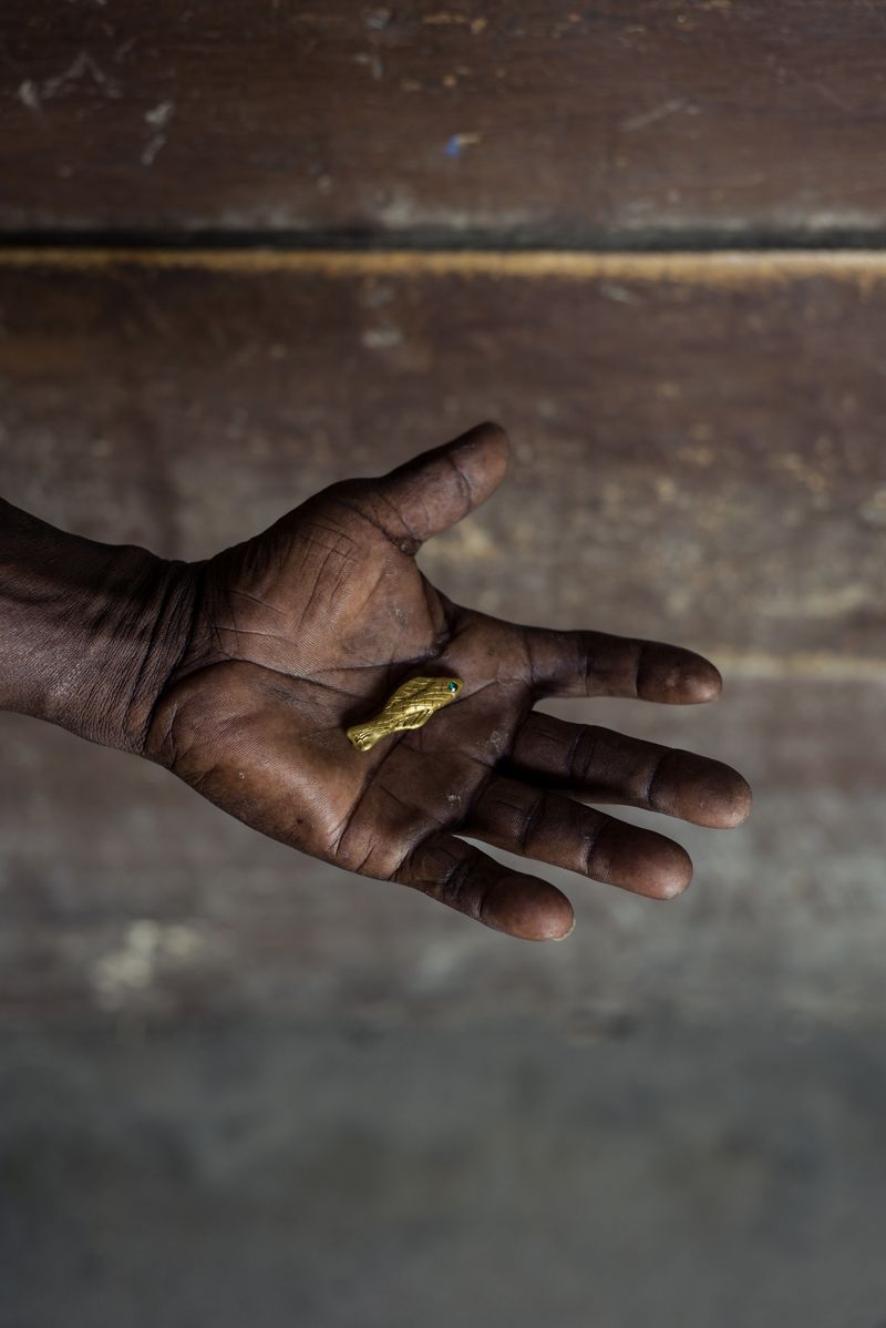 © Luis Cobelo - Found little golden fish