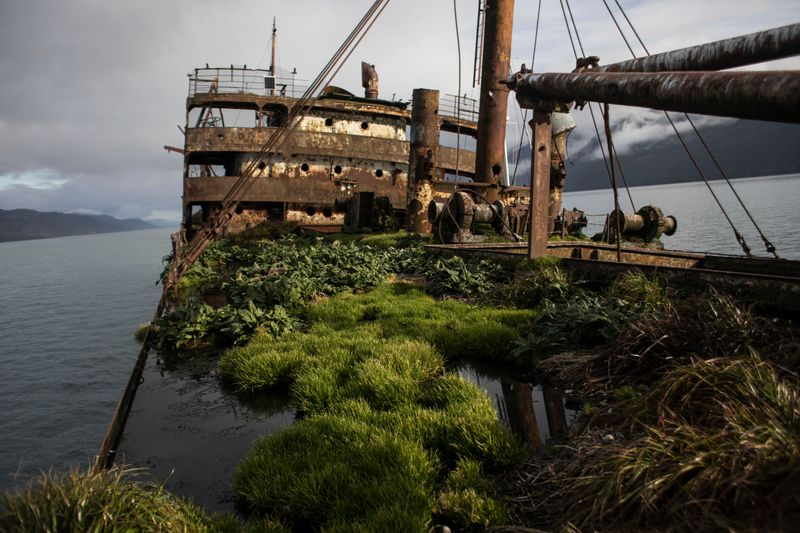 © Nadia Shira Cohen - Image from the Love Boat photography project