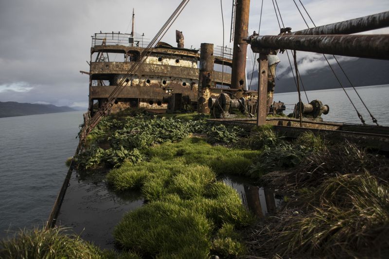 © Nadia Shira Cohen - Image from the Love Boat photography project