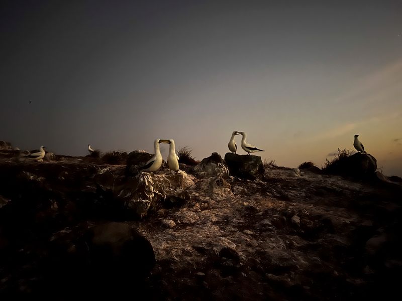 © Nadia Shira Cohen - Image from the Love Boat photography project