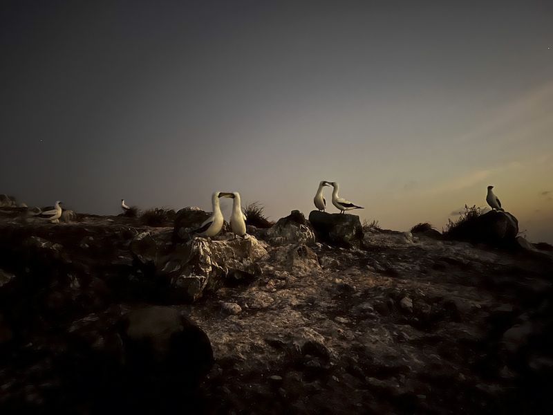 © Nadia Shira Cohen - Image from the Love Boat photography project
