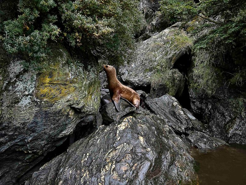 © Nadia Shira Cohen - Image from the Love Boat photography project