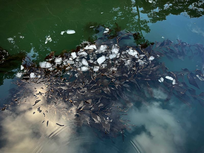 © Nadia Shira Cohen - Image from the Love Boat photography project