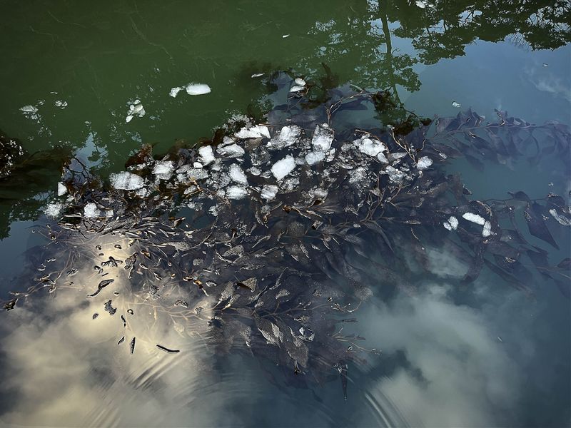 © Nadia Shira Cohen - Image from the Love Boat photography project