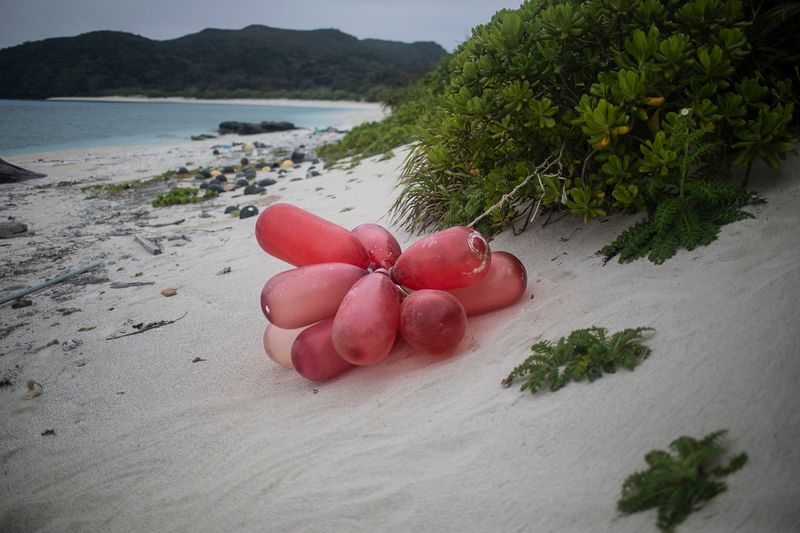 © Nadia Shira Cohen - Image from the Love Boat photography project