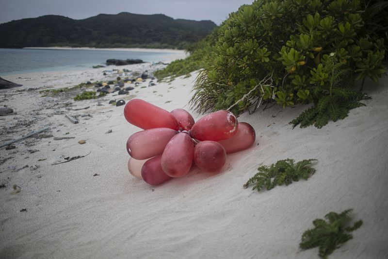 © Nadia Shira Cohen - Image from the Love Boat photography project