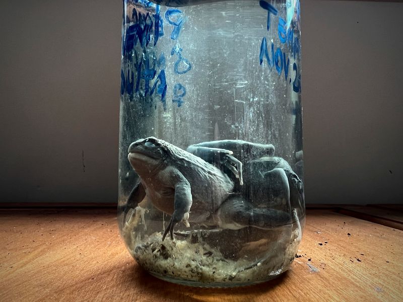 © Nadia Shira Cohen - Image from the Love Boat photography project