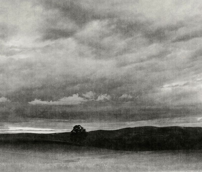 © Eli Geller - "Meadow", Richmond, Massachusetts, 2013