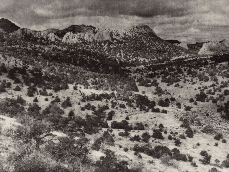 © Eli Geller - "Frontier", Rio Grande National Forest, Colorado, 2014