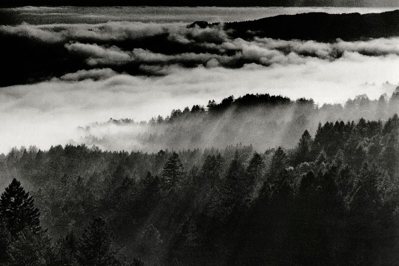 © Eli Geller - "Sunbeams, Mt. Tamalpais, California, 2015