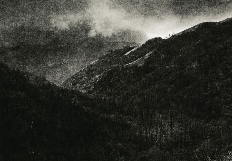 © Eli Geller - "Majesty", Los Padres National Forest, California, 2012