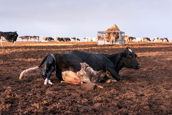 © Karoliina Kase - Image from the To All the Bobbies Out There photography project