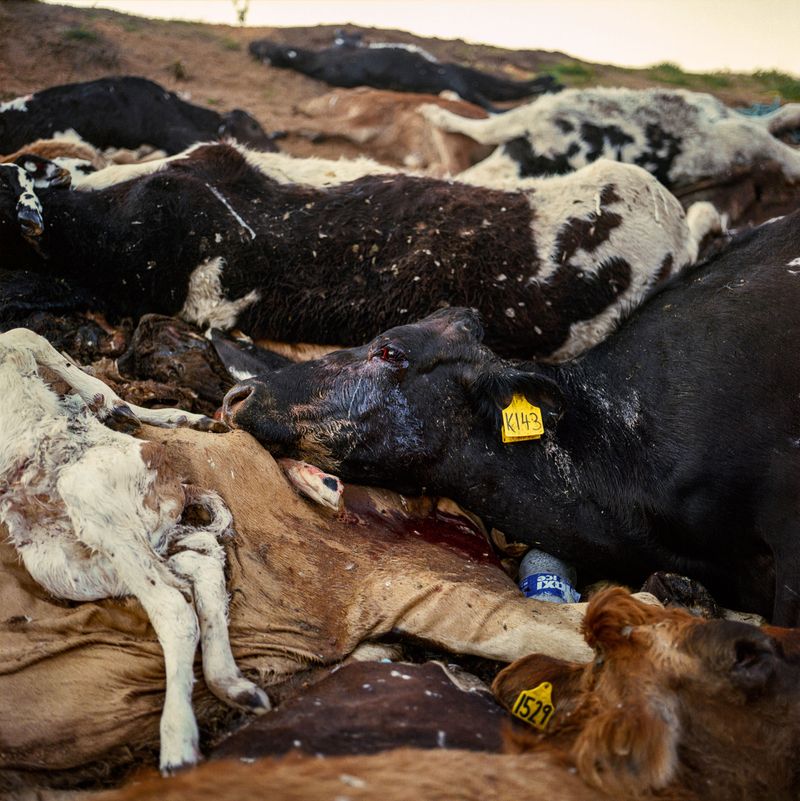 © Karoliina Kase - Image from the To All the Bobbies Out There photography project