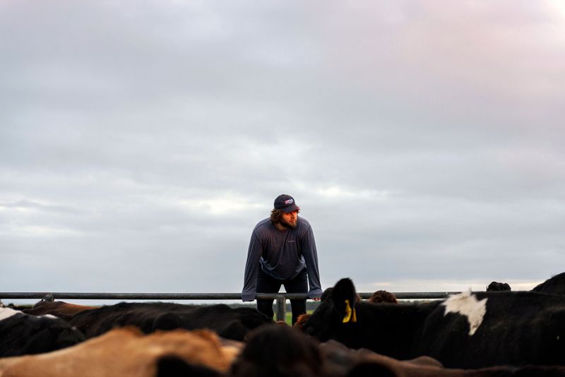 © Karoliina Kase - Image from the To All the Bobbies Out There photography project