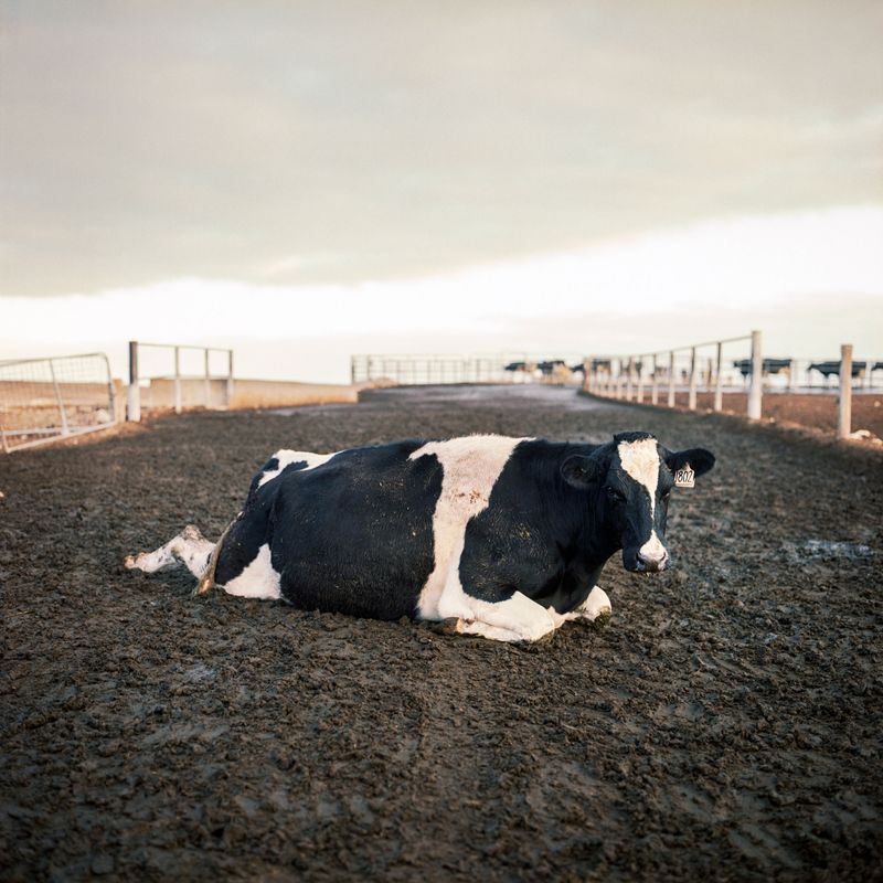 © Karoliina Kase - Image from the To All the Bobbies Out There photography project