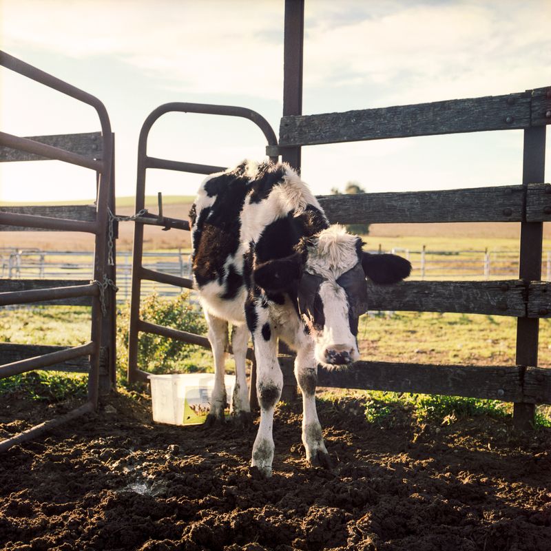 © Karoliina Kase - Image from the To All the Bobbies Out There photography project