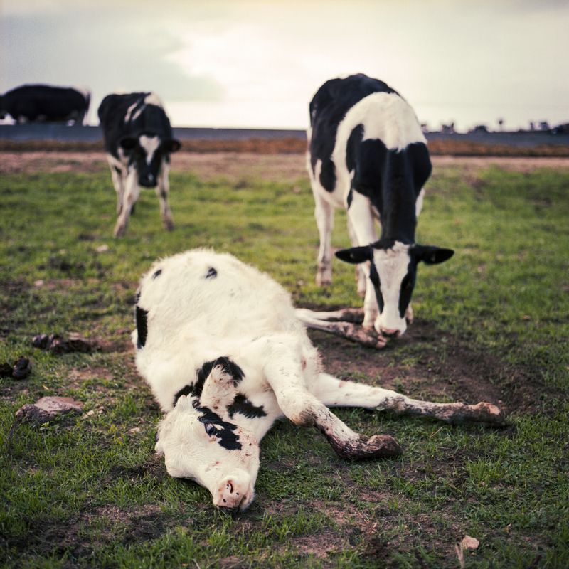 © Karoliina Kase - Image from the To All the Bobbies Out There photography project