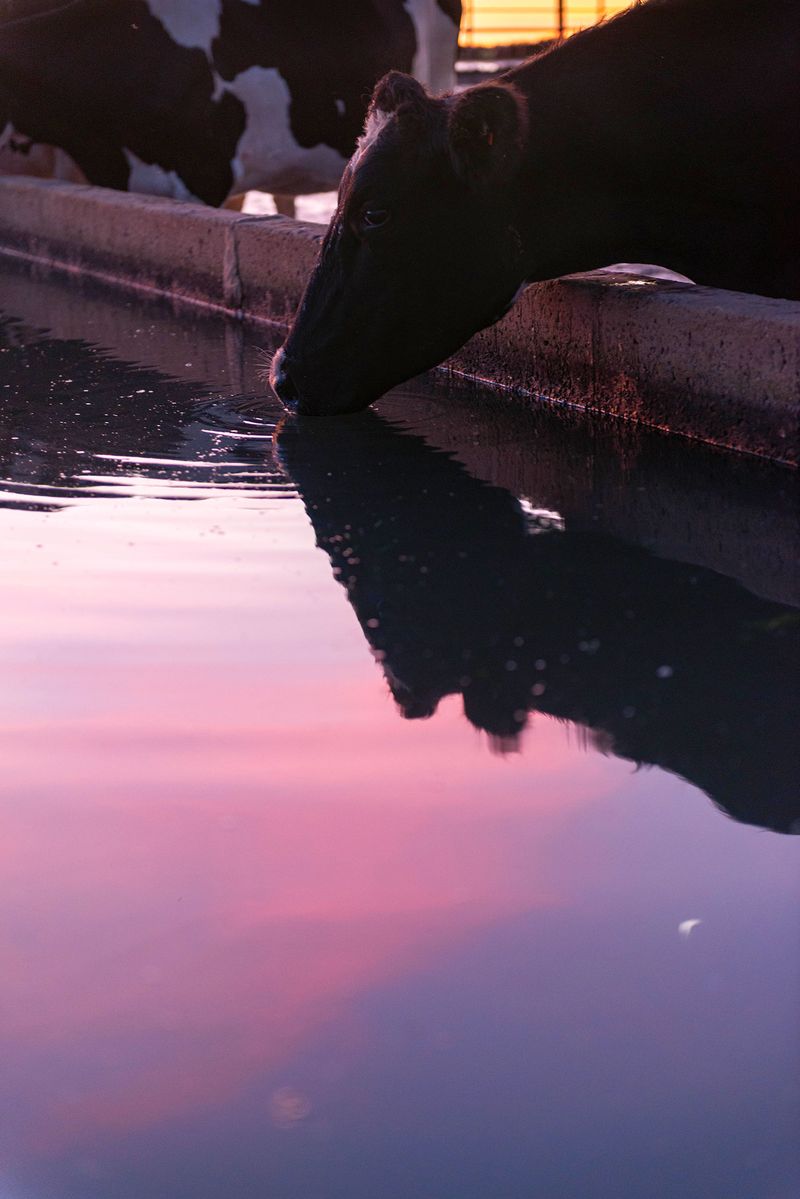 © Karoliina Kase - Image from the To All the Bobbies Out There photography project